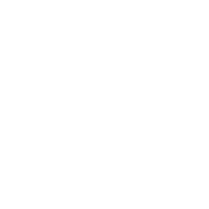 SynchNeuro